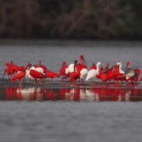 Photography Tours