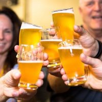 Beer & Brewery Tours