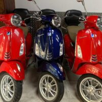 Scooter Rentals