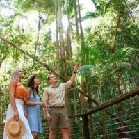 Bus & Minivan Tours