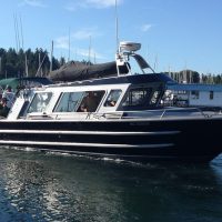 Cruises, Sailing & Water Tours