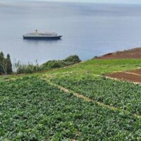Shore Excursions