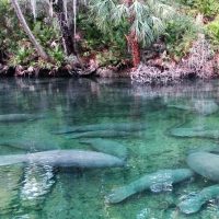 Self-guided Tours & Rentals
