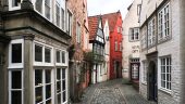 Ali made this walking tour great fun.His knowledge of  the most interesting areas with his friendly informal was great.