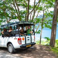 Plantation Tours