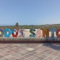 Tours & Sightseeing