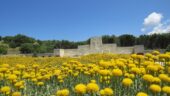 Gallipoli Experience ComeTrue
