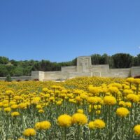 Private & Custom Tours