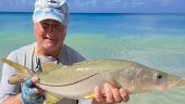 A good 3 hours fishing tour