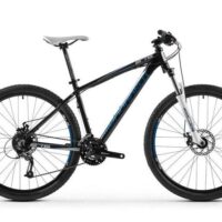Bike Rentals