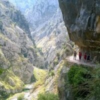 Multi-day Tours
