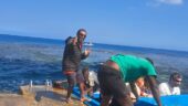 Great guide and tour operators 