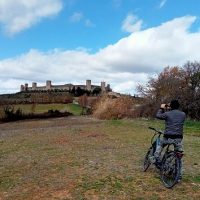 Bike Rentals