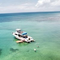 Self-guided Tours & Rentals