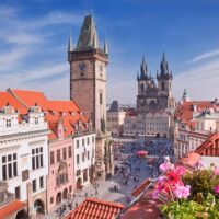 Airport & Ground Transfers