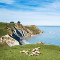 Shore Excursions