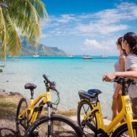 Bike Rentals