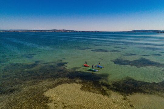 Valentine's Day in Sete