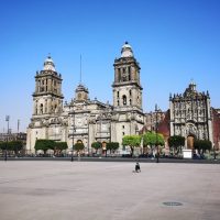 Airport & Ground Transfers