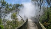 Great tour of Rotorua and Tauranga