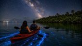 Incredible biobay experience