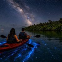 Eco Tours