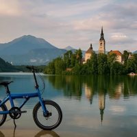 Vehicle Rentals