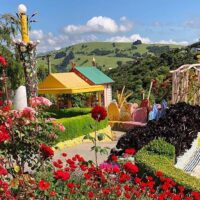 Shore Excursions