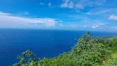 Amazing Island Tour – Highly Recommended!