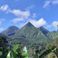 Tours & Sightseeing