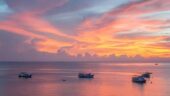 Sunset Dolphin Cruise