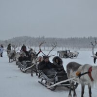 Overnight Tours