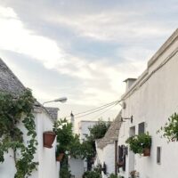 Multi-day & Extended Tours