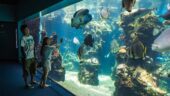 Don't Miss this Aquarium!