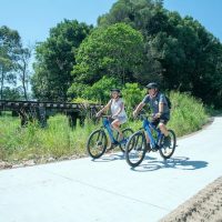 Bike Rentals