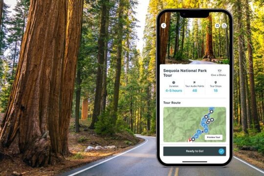 Thanksgiving in Sequoia and Kings Canyon National Park