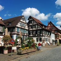 Bus & Minivan Tours