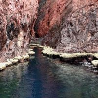 Shore Excursions