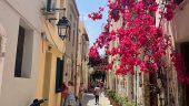 Excellent tours