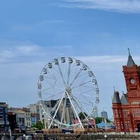 Cruises, Sailing & Water Tours
