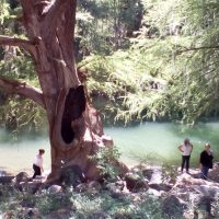 Cultural & Theme Tours