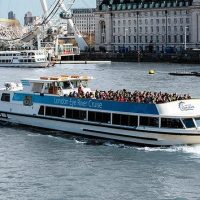 Day Cruises