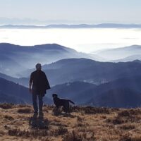 Day Trips & Excursions