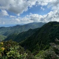 Full-day Tours