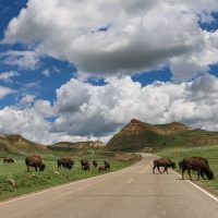 Bus & Minivan Tours