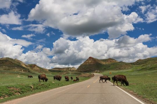 New Year’s Day long weekend in North Dakota