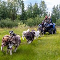 4WD, ATV & Off-Road Tours