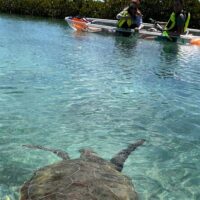 Glass Bottom Boat Tours