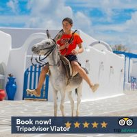 Classic Car Tours