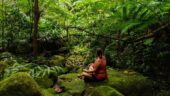 Meditation while Hiking